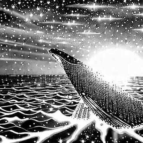 Empty Input, Full Signal: When a Blank Due Diligence Report Says More Than Any Whitepaper Empty Input, Full Signal: When a Blank Due Diligence Report Says More Than Any Whitepaper
