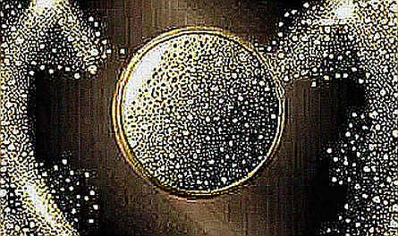 The Empty Ledger: Inside the 9-Dimension Analysis Engine That Went Dark