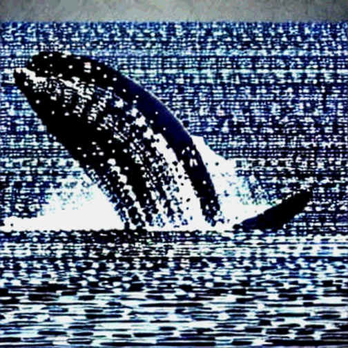 Ripple's $275M Bond: The Signal Mainstream Finance Just Sent Crypto Ripple's $275M Bond: The Signal Mainstream Finance Just Sent Crypto