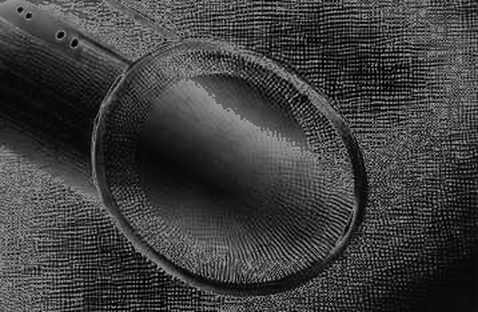 Anthropic's Revenue Supremacy: The Quiet Coup That Redefined AI's Competitive Landscape Anthropic's Revenue Supremacy: The Quiet Coup That Redefined AI's Competitive Landscape