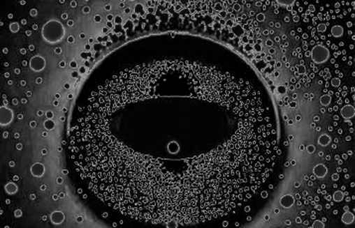 Cursor's Growth Is Real. The Moat Is Not What You Think. Cursor's Growth Is Real. The Moat Is Not What You Think.