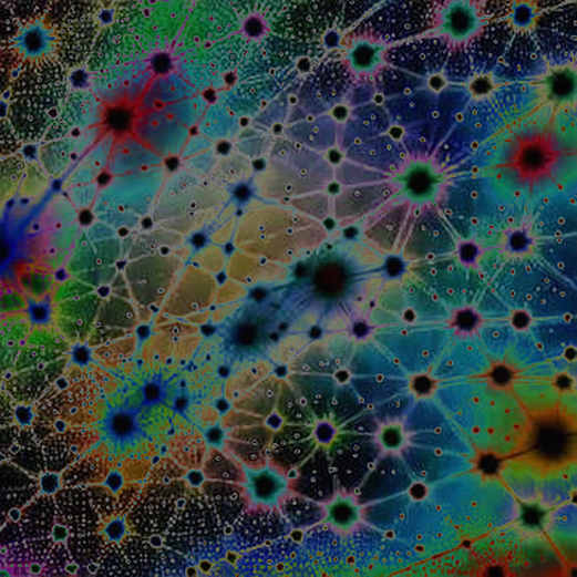 The FLOP Airdrop: Arthur Hayes' Testnet Gamble and the Ghosts of Decentralized Identity